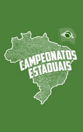 Novorizontino x Palmeiras Palpite – Campeonato Paulista – 08-03-2026