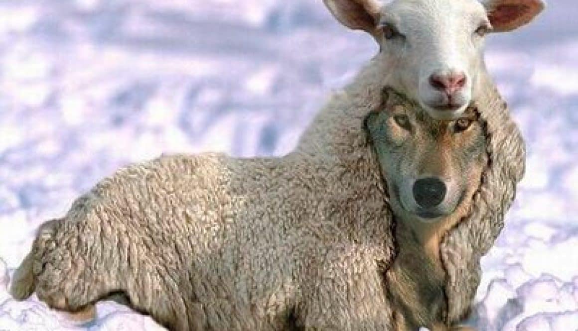 PERFIL 3 - Enaganador