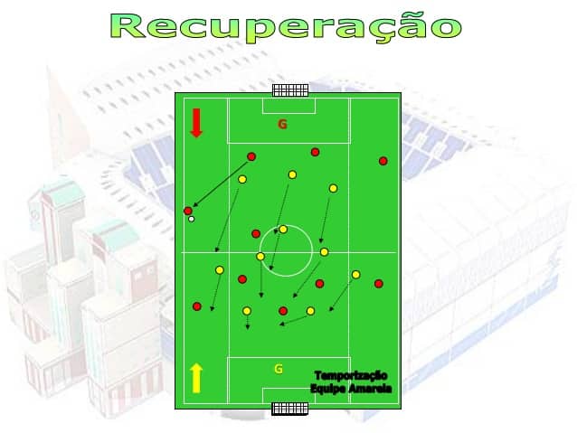 PRINCIPIOS ESTRUTURAIS