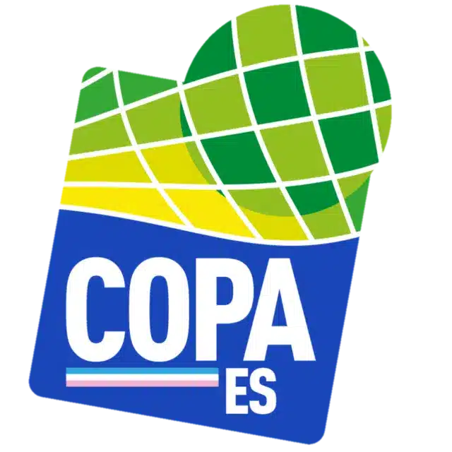 Copa Espírito Santo