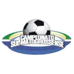 Sul-Matogrossense