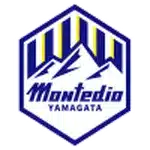 Montedio Yamagata
